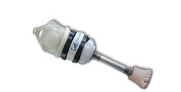 Interim / Preparatory Prosthetic